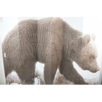 Мишень «Медведь» (1x1,5 м) Мишень «Медведь» (1x1,5 м)